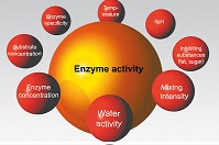 e-enzyme-illustration1-g